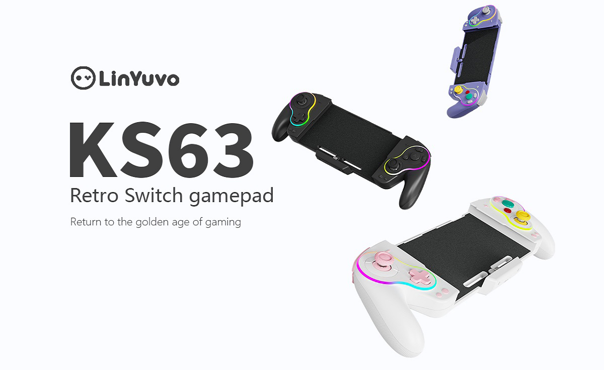 Nintendo Switch OLED wired USB controller gamepad accessories kit