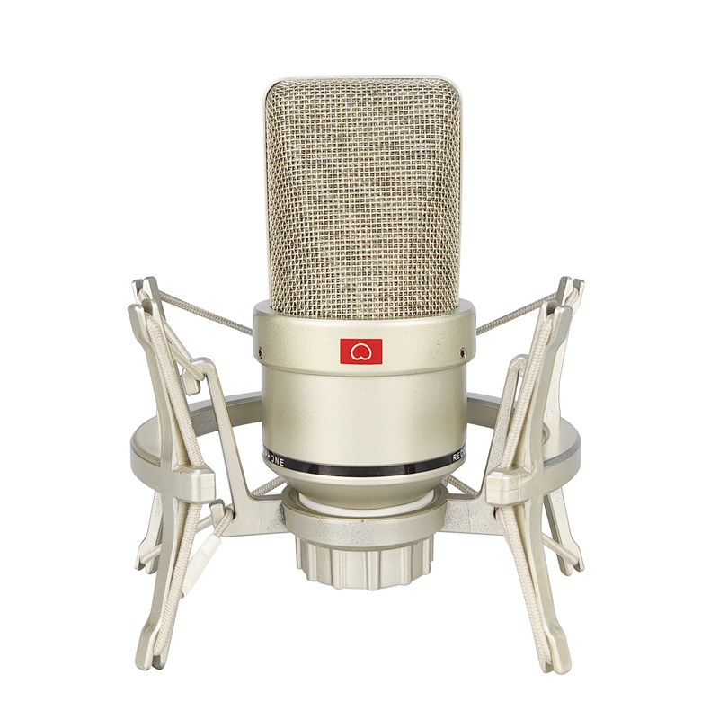 Microphone shock mount accessory