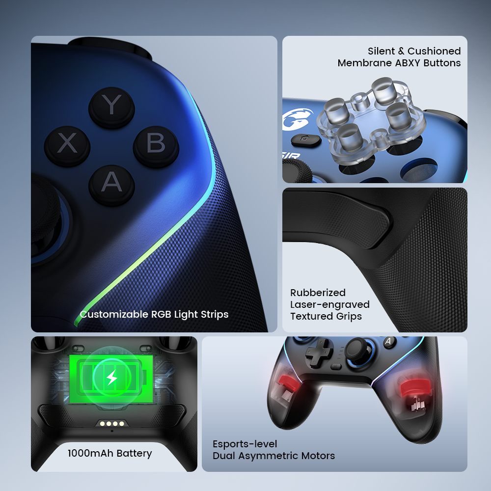 Physically switchable ABXY button layout