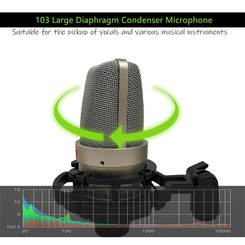 Professional condenser microphone studio setup with stand