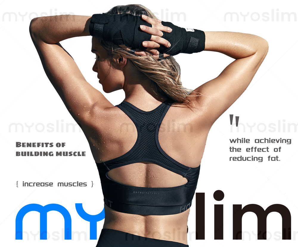 EMS Muscle Stimulator Body Massager and Pelvic Trainer - Elegant design displayed