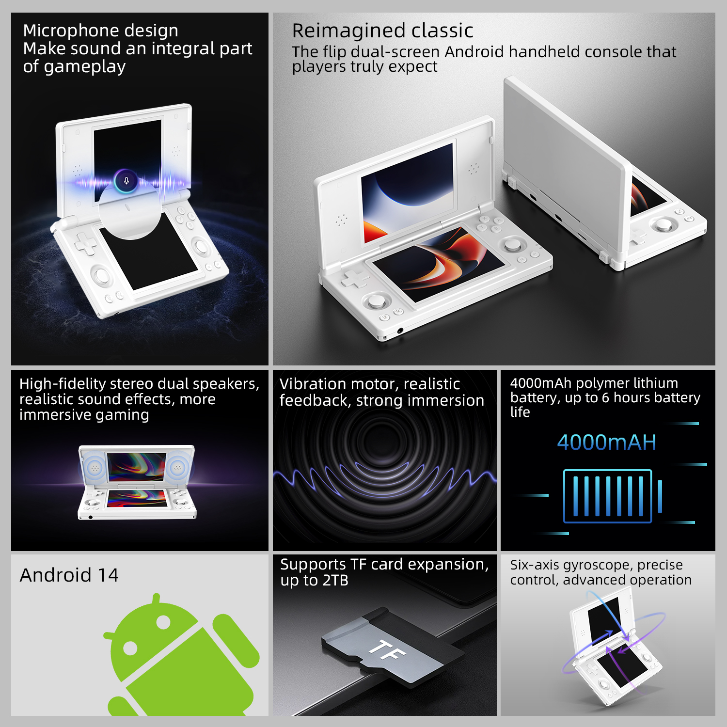 Anbernic RG DS internal storage and processor performance view