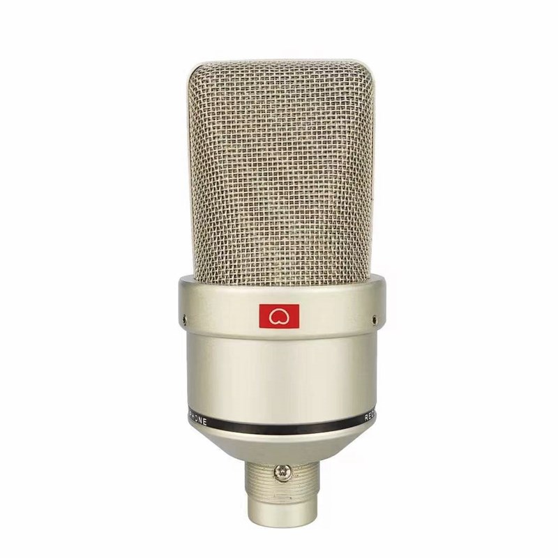 Studio wired microphone with shock mount