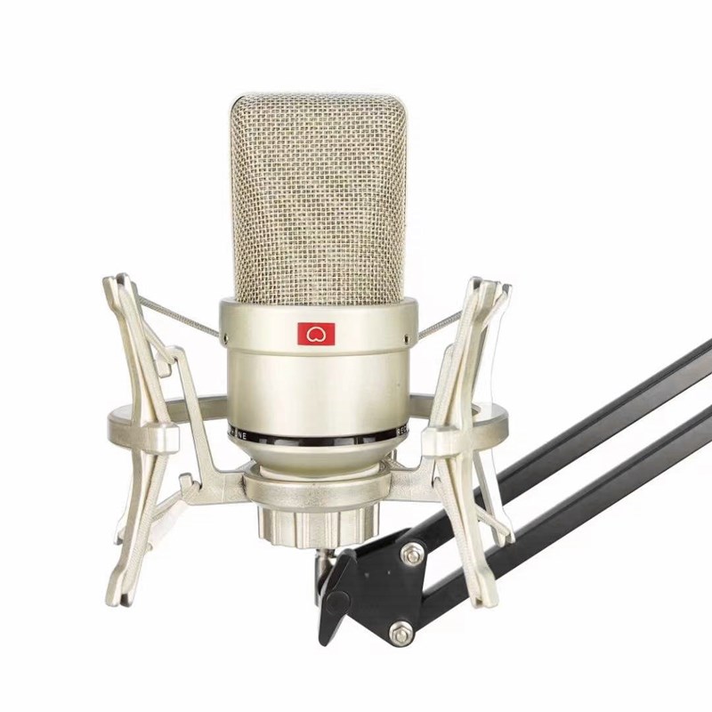 Microphone suitable for various musical instruments
