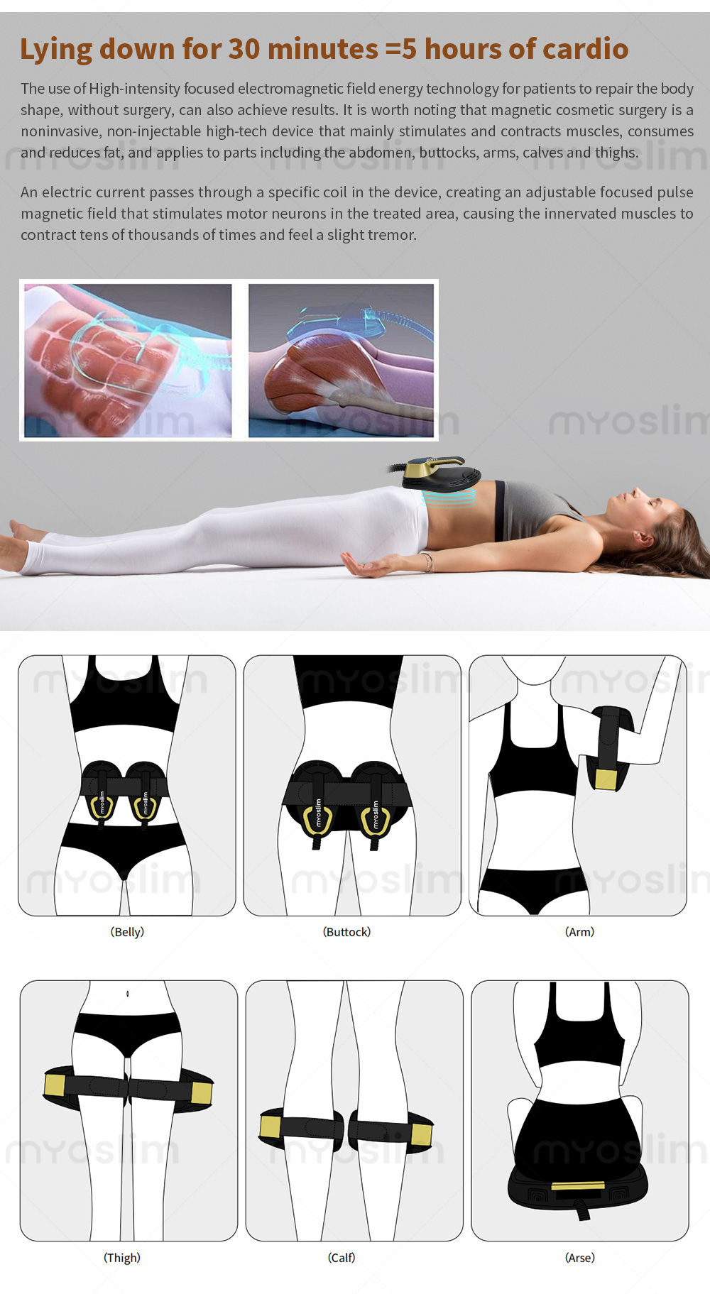 EMS Muscle Stimulator Body Massager and Pelvic Trainer - Front-facing product display